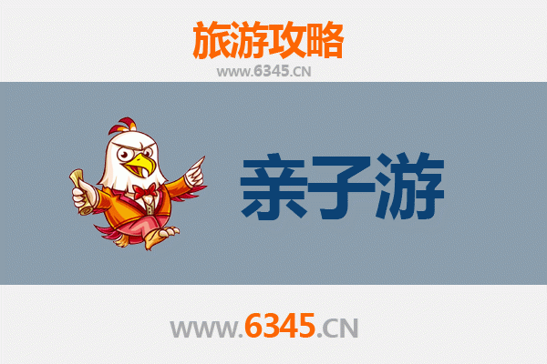 海南白沙南开乡亲子游全攻略：雨林探秘与黎族文化体验