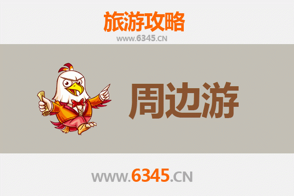 海南白沙南开乡深度周边游攻略：雨林探秘与黎族文化体验